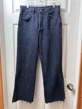 Aritzia Denim Forum Farrah High Rise Wide Leg 30x28
